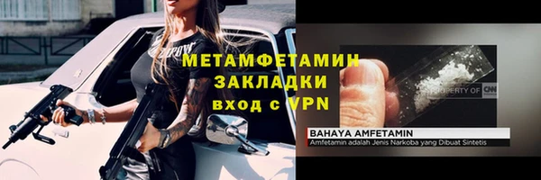 ПСИЛОЦИБИНОВЫЕ ГРИБЫ Козловка