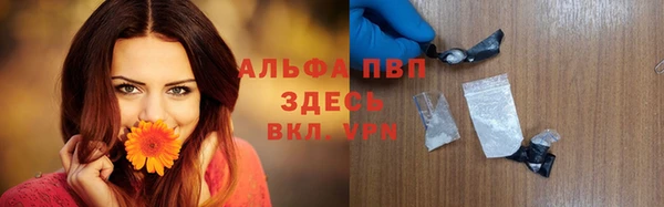 ПСИЛОЦИБИНОВЫЕ ГРИБЫ Козловка