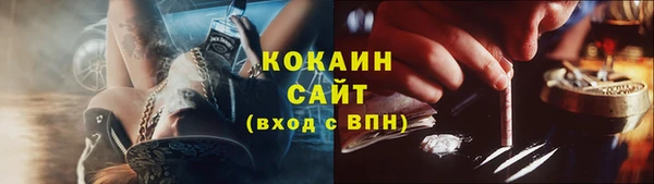 ПСИЛОЦИБИНОВЫЕ ГРИБЫ Козловка