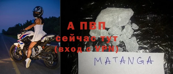 ПСИЛОЦИБИНОВЫЕ ГРИБЫ Козловка